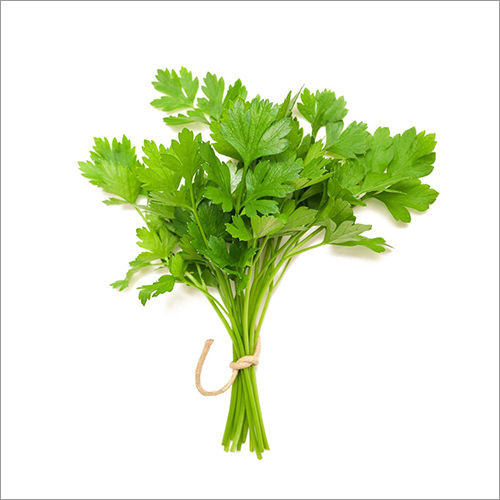 Coriander Leaves