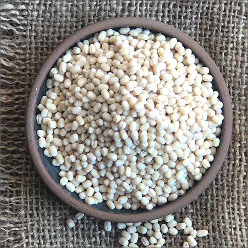 White Urad Dal - Whole Dried Pulse | Common Variety, Ideal for Curries and Accompaniments, Enhances Flavors with Mustard Seeds