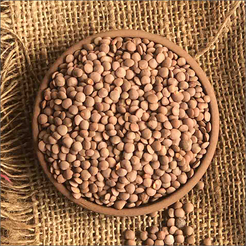 Whole Masoor Dal - Whole, Varied Packaging Options | Heart-Healthy Folate Source, Supports Cholesterol and Blood Pressure Levels
