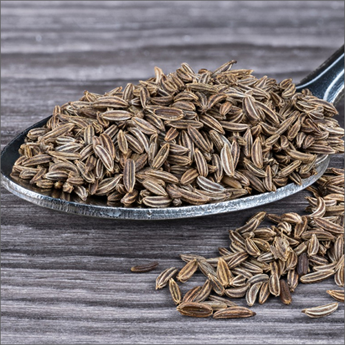 Fresh Caraway Seeds