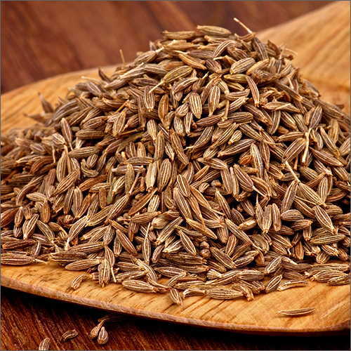 Fresh Cumin Seeds