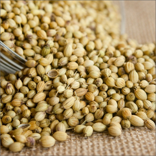 Coriander Seeds
