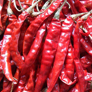 Dry Red Chilli