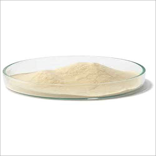 Tryptone Powder