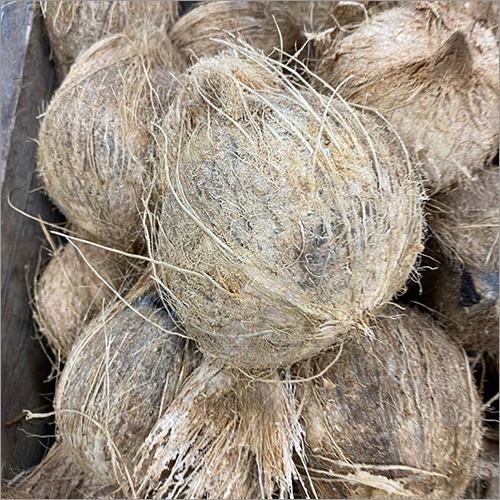 Common Natural Dry Coconut