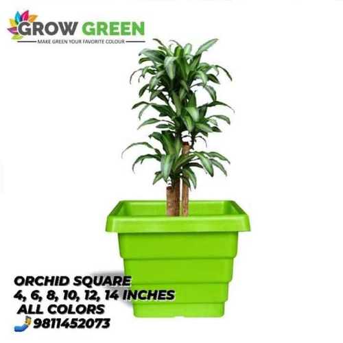 Mix Orchid Square Pots
