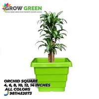 Orchid Square Pots