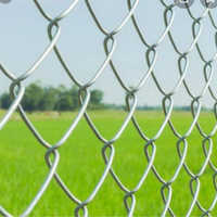 Galvanized Iron Chain Link Fencing