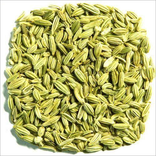 Fennel Seeds Grade: Edible