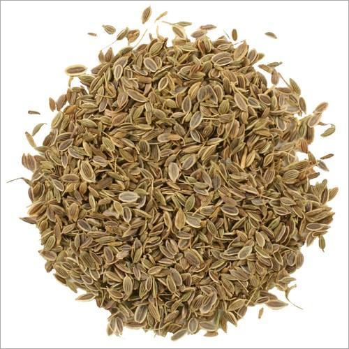 Organic Dill Seeds