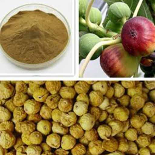 Fig Powder