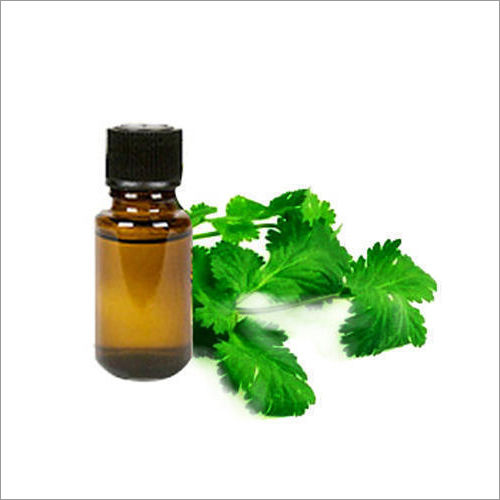 Coriander Oil Cas No: 8008-52-4