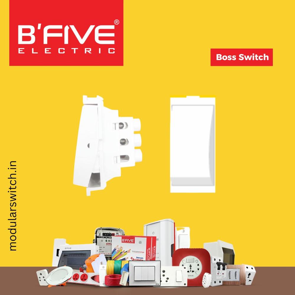 Boss Switch - Polycarbonate, 6 Amp, 2 Way Electric Switch | ISI Marked, Tested Over 100,000 Operations, Domeshaped Contact for Enhanced Performance