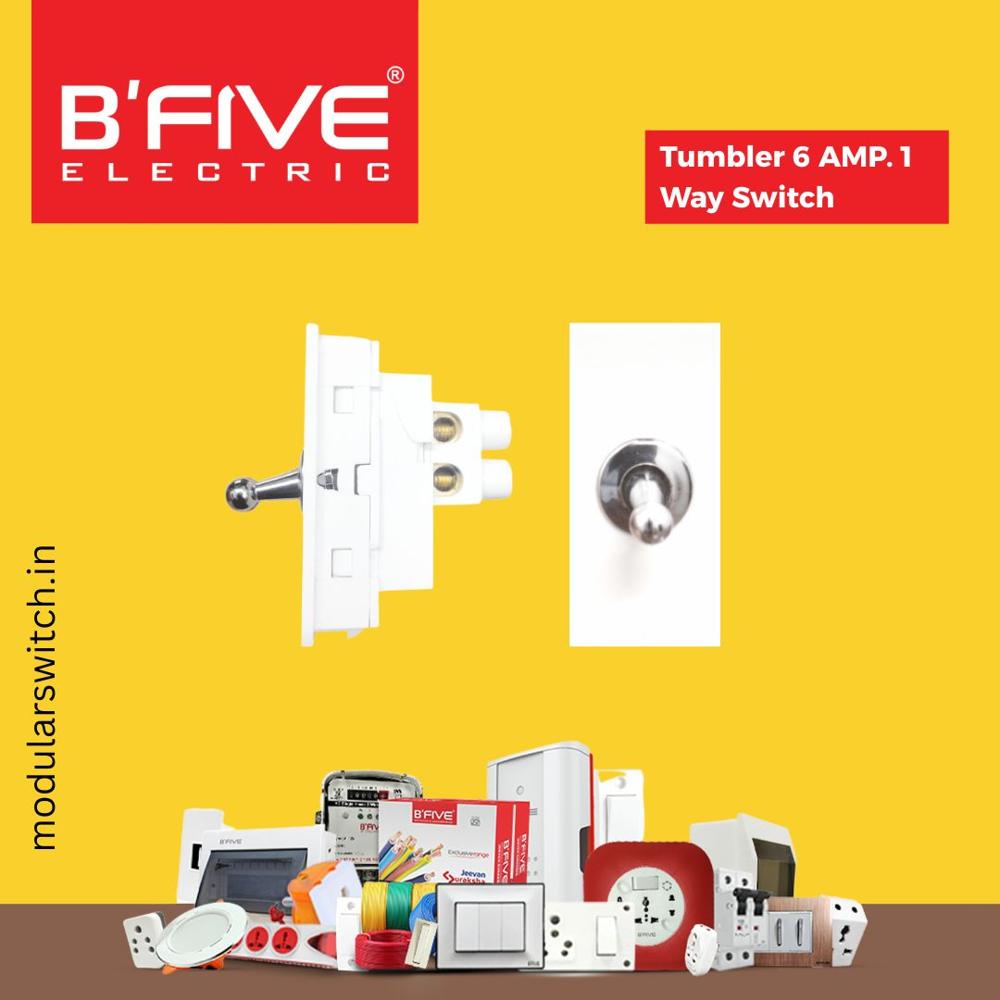 Tumbler Switch - Polycarbonate, 6 Amp. Two Way, 240V | Glossy White Finish, ISI Marked, 100,000 Operations Tested