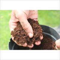 Coco Peat Powder