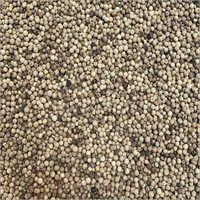 White Pepper