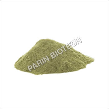 Brahmi Powder - Color: Green