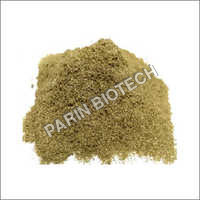 Lemongrass Powder - Green, Versatile Ingredient For Flavorful Soups And Stocks | Suitable For All Age Groups, Store In Cool Place