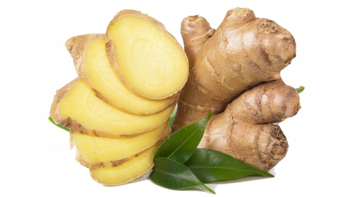 FRESH GINGER