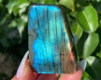 Labradorite polished free forms