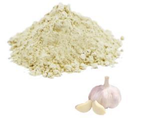Garlic extract