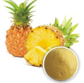 bromelain extract (pineapple extract)