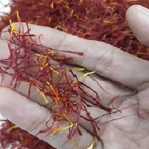Iranian Saffron