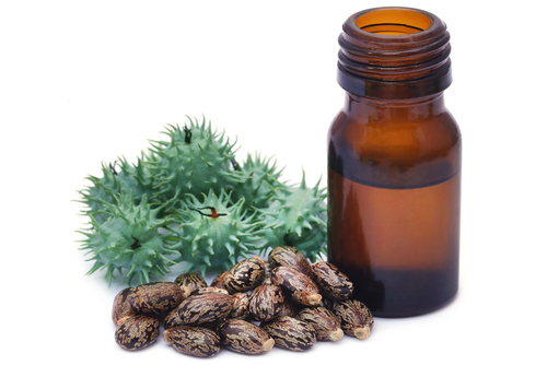 castor oil and its derivatives