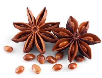 illicium verum oil(Anise Star oil)