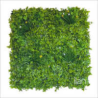 1X1m Costal Fantasy Green Wall