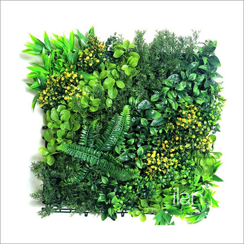 50X50cm Coatsal Sunset Green Wall