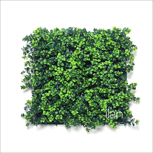 50X50cm Blooming Green Wall