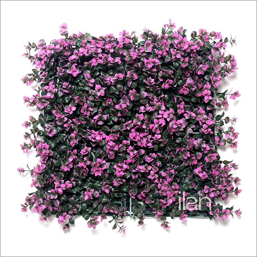 50X50cm Blooming Aster Green Wall