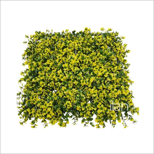 50X50cm Blooming Maize Green Wall