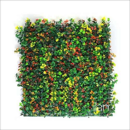 50X50cm Color Blush Green Wall