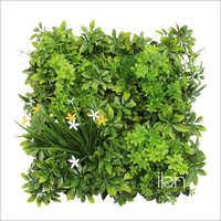 50X50cm Coastal Fantasy Green Wall