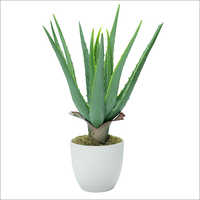 35 CM Aloe Artificial Plant