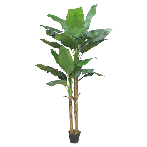 210 CM Banana Tree Artificial Plant By ILAN COLLECTION PRIVATE LIMITED