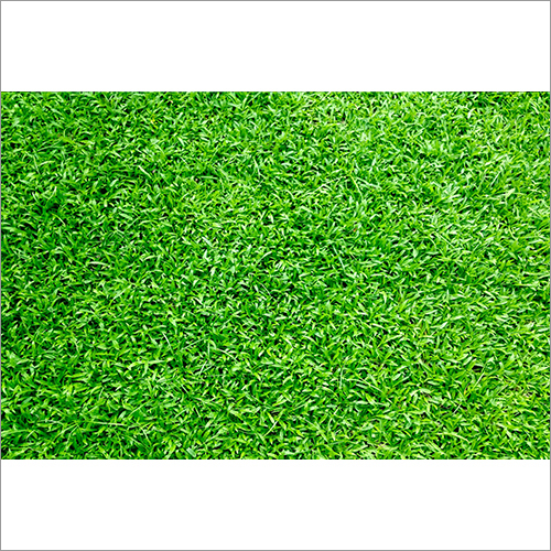 Synethic Fiber Artificial Turf By ELE DECORS