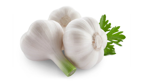 Round Fresh Garlic