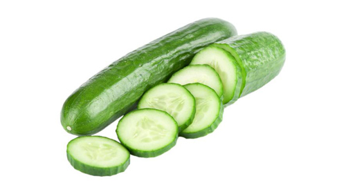 Large Fresh Cucumber