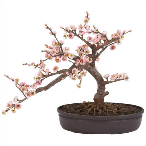 Artificial Bonsai Tree