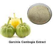 Garcinia cambogia dried extract (Garcinia cambogia extract)