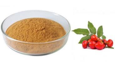 Rose hip extract (Rosehip extract)