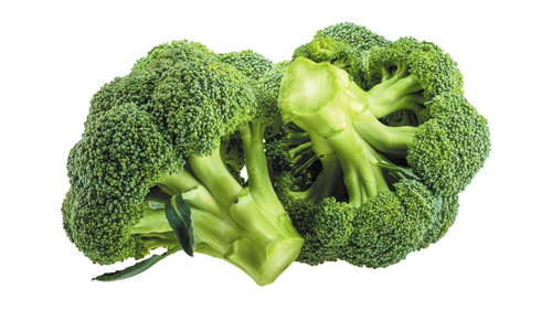 Head Shape Fresh Broccolie