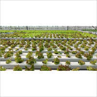 Hydroponics Systems