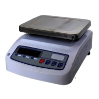 METAL MINI TABLE TOP SCALE PAN SIZE: 170 X 230 MM