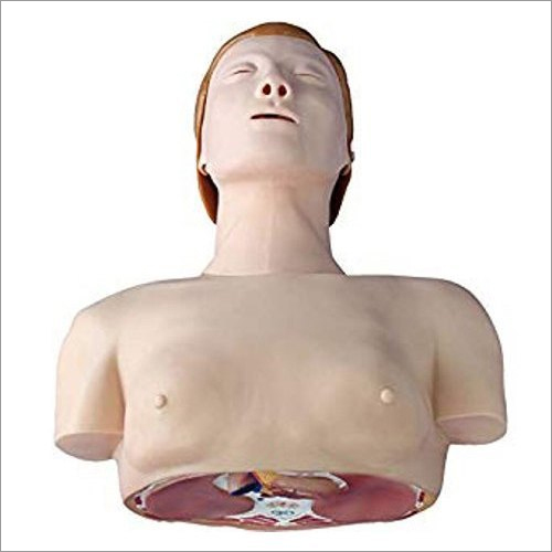 CPR Half Body With Monitor Manikins