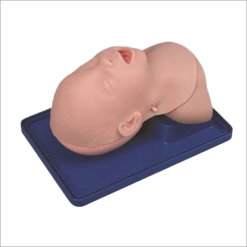 Skin Infant Airway Management With Head For Infant Tracheal Intubation Training Manikins