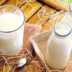 CEC Milk Flavour OS 2392